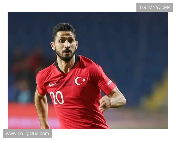 全面解析彪马男式足球套装近期市场价格走势与的实用选购关键要点